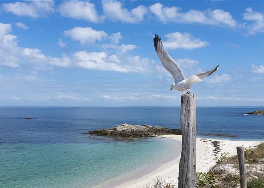 Hôtel Ker-moor*** Concarneau